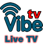 vibe tv logo mini