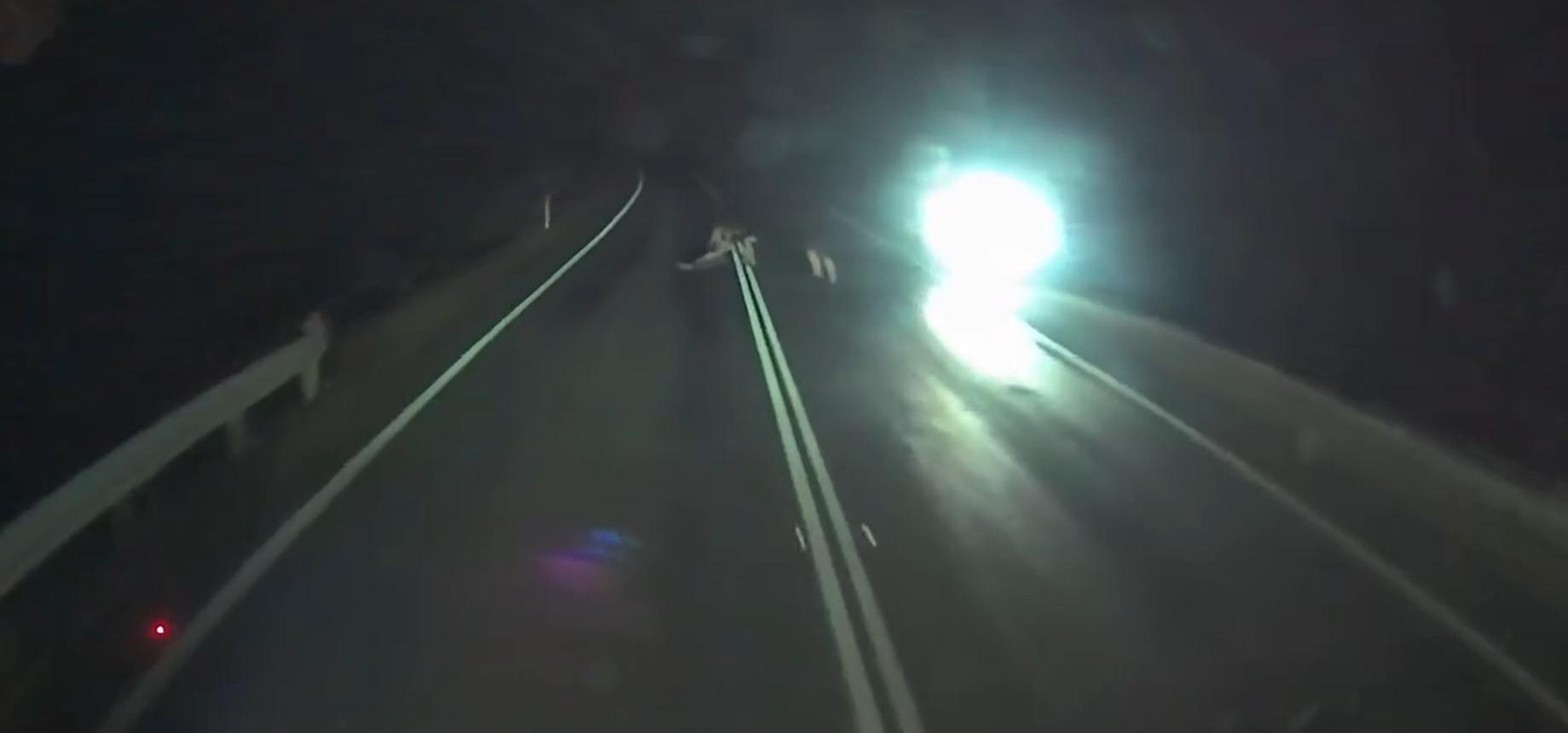 SABLČASNI  HOROR PRIZOR OKO PONOĆI - Vozaču umalo pozlilo od prizora!(VIDEO)